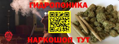 индика Ставрополь