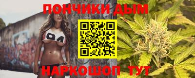 индика Ставрополь